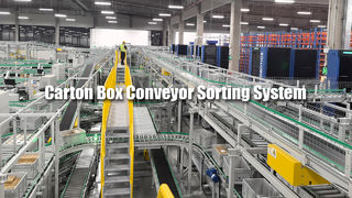 Kartonförderer-Sortiersystem 02
