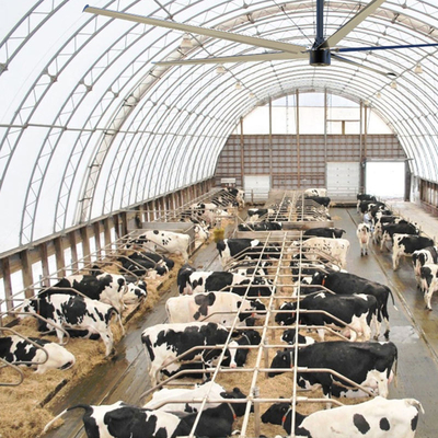 Große industrielle HVLS-Deckenventilatoren für Fabrikgroße Werkstattventilatoren