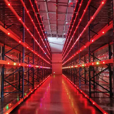 Fahrzeugteile 2.5T Last Elektrische mobile Regale mit Führungsschiene